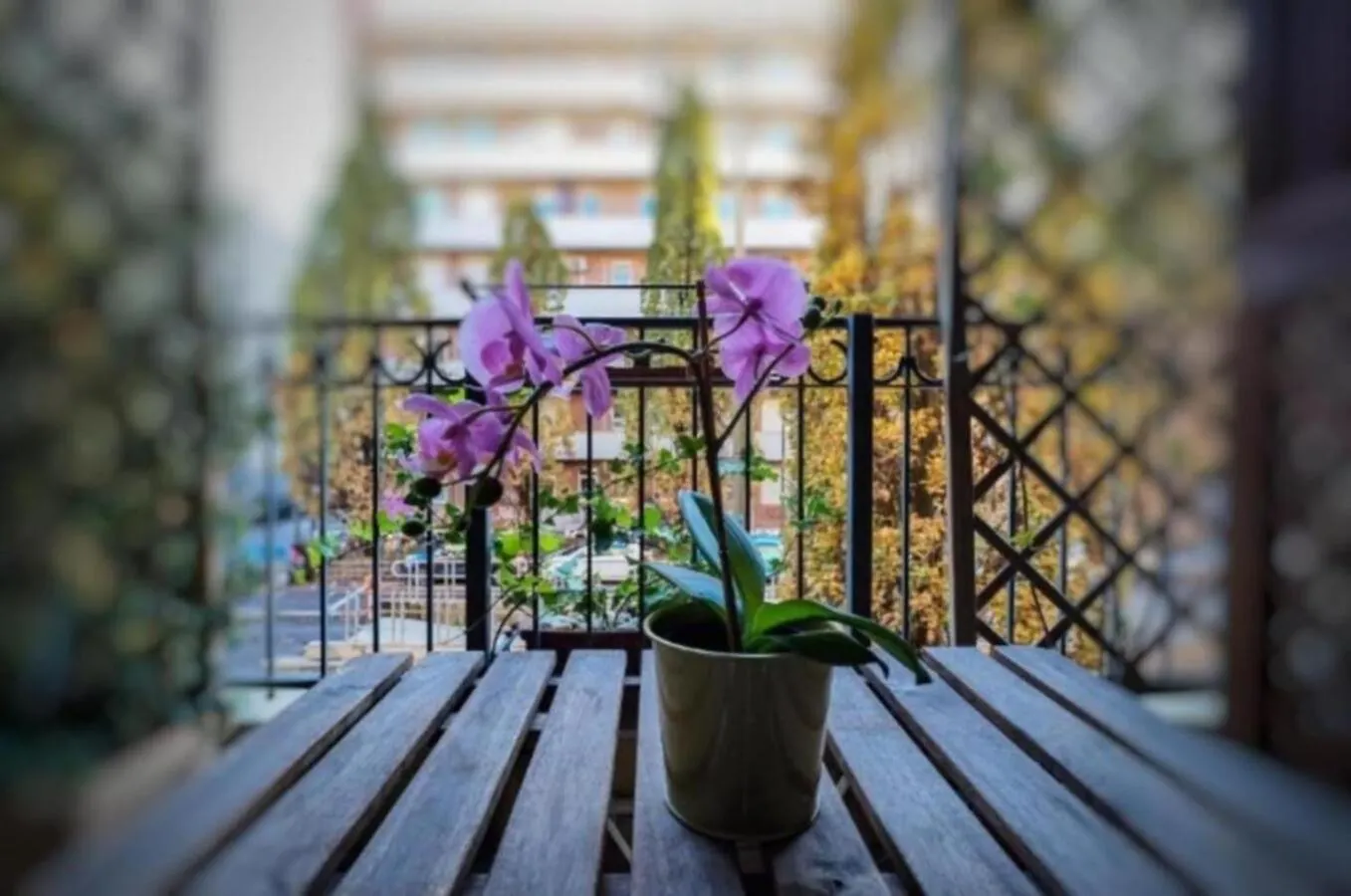 Casina Del Sud Apartment Lecce Italy